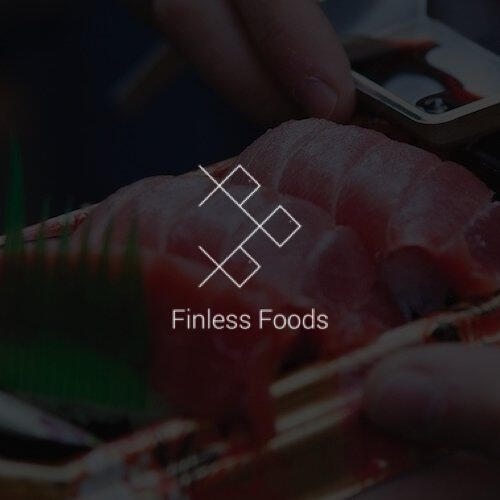 Finless Foods