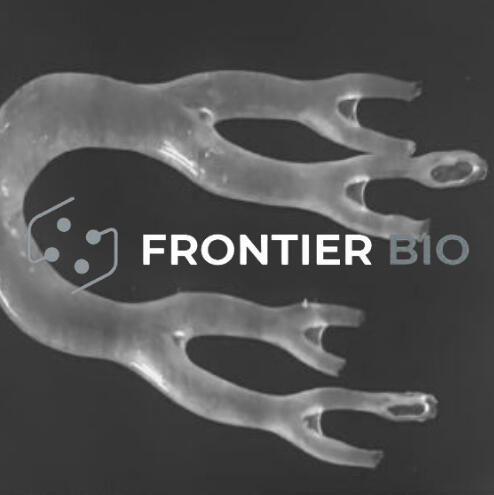 Frontier Bio