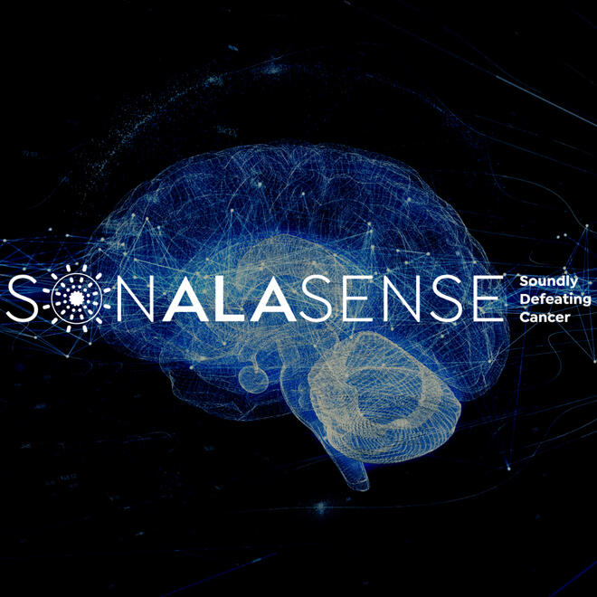Sonalasense